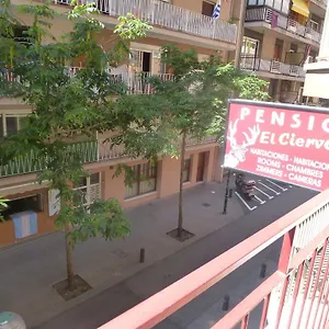 pension-el-ciervo.topcostabravahotels.com/